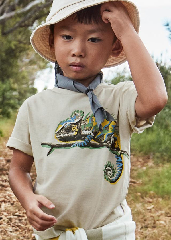 Camiseta iguana